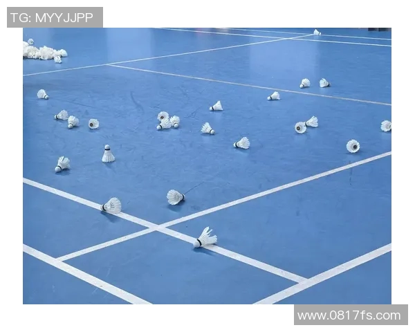 南京羽毛球队实力解析聚焦羽毛球运动的未来发展与挑战