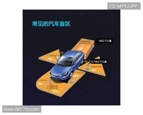 武汉网球队转型之路的挑战与机遇全景观察