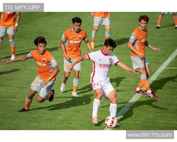 深圳足球队实力分析与表现评估的深度研究与探讨