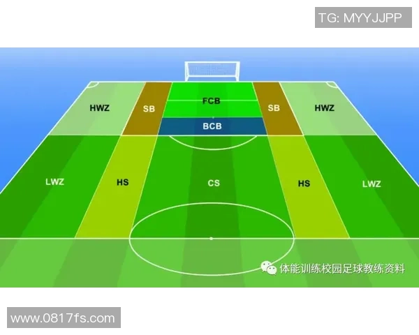 专业解读：武汉排球队的区域防守打法