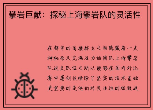 攀岩巨献：探秘上海攀岩队的灵活性