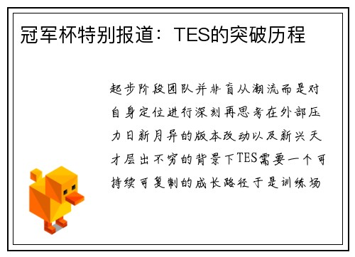 冠军杯特别报道：TES的突破历程